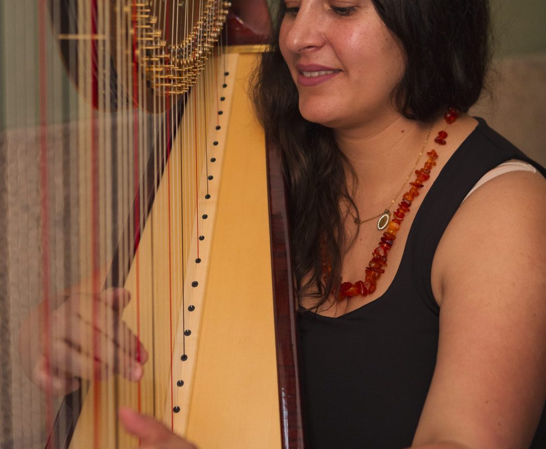 Música en vivo: Arpa